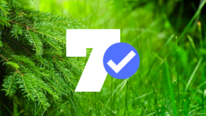 7 Step Sales Meeting Summary Template
